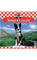Border Collies