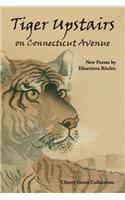 Tiger Upstairs on Connecticut Avenue
