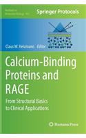 Calcium-Binding Proteins and Rage
