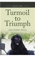 Turmoil to Triumph