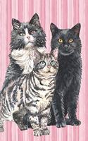 The Cat Lover Collection