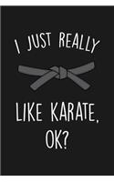 I Just Really Like Karate Ok