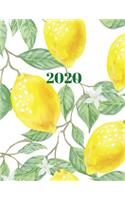 2020: 13 Month Planner January 2020-January 2021