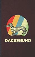 Dachshund
