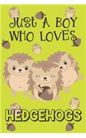 Just A Boy Who Loves Hedgehogs
