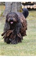 Bergamasco Shepherd Running Journal: Take Notes, Write Down Memories in this 150 Page Lined Journal