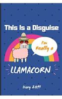 Diary 2019: This Is A Disguise I'm Really A Llamacorn