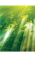 Sunlight Through Leaves Sketchbook: Blank Art Sketch Pad Journal Notebook(55 Go Green 150 Sketch)
