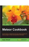Meteor Web Application Development Cookbook