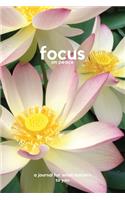 Focus on peace