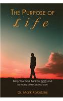 The Purpose of Life: Bring Your Soul back to God and as many others as you can