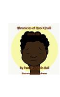 Qhronicles of Qool Qhalil -- Brown Skin