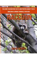 Raccoon