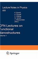 Cfn Lectures on Functional Nanostructures: Volume 1