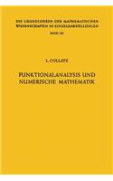 Funktionalanalysis Und Numerische Mathematik