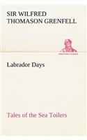 Labrador Days Tales of the Sea Toilers