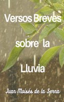 Versos Breves Sobre La Lluvia