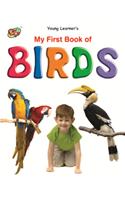 My First Book Of Birds