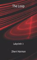 The Loop: Labyrinth 3