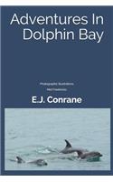 Adventures In Dolphin Bay