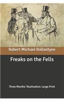 Freaks on the Fells: Three Months' Rustication: Large Print