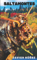 Saltamontes