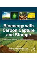 Bioenergy with Carbon Capture and Storage