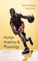 Human Anatomy & Physiology; Modified Mastering A&p with Pearson Etext -- Valuepack Access Card; Human Anatomy & Physiology Laboratory Manual, Fetal Pig Version; Photographic Atlas for Anatomy & Physiology