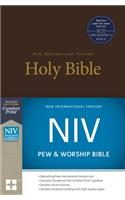 NIV, Pew and Worship Bible, Hardcover, Brown