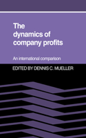 Dynamics of Company Profits