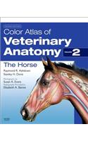 Color Atlas of Veterinary Anatomy, Volume 2, the Horse