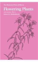 Flowering Plants: Asteraceae, Part 2