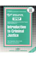 Introduction to Criminal Justice