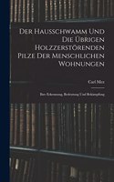 Hausschwamm Und Die Übrigen Holzzerstörenden Pilze Der Menschlichen Wohnungen