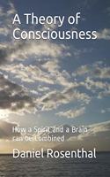 Theory of Consciousness