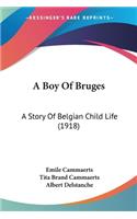 Boy Of Bruges