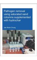 Pathogen Removal Using Saturated Sand Columns Supplemented with Hydrochar