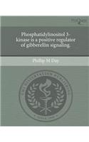 Phosphatidylinositol 3-Kinase Is a Positive Regulator of Gibberellin Signaling