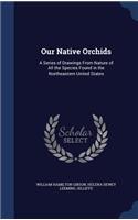 Our Native Orchids