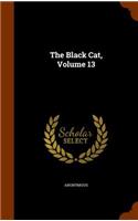 The Black Cat, Volume 13