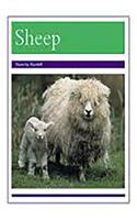 Animals - Sheep: Leveled Reader Bookroom Package Purple (Levels 19-20)