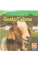 Goats / Las Cabras