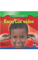 Ears / Los Oídos