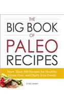 Big Book of Paleo Recipes: More Than 500 Recipes for Healthy, Grain-Free, and Dairy-Free Foods