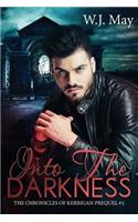 Into the Darkness: paranormal fantasy romance