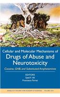 Cellular and Molecular Mechanisms of Drugs of Abuse and Neurotoxicity