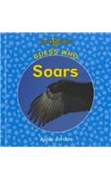 Guess Who Soars: Bird