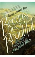 Because It Is So Beautiful