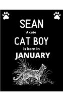 SEAN a cute cat boy is born in January