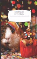 Guinea Pigs Are My Spirit Animal: Foxes Gift for Woman Blank Lined Notebook Journal & Planner - 6 x 9 inches, College Ruled Lined,110 Pages